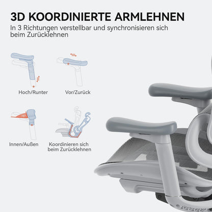 SIHOO Doro C300 Ergonomischer Bürostuhl 3D-Armlehnen