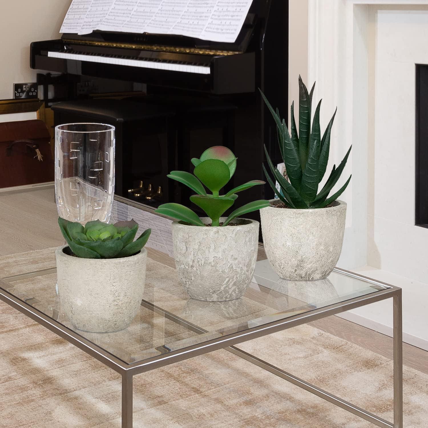 6er Set Kunstpflanzen Sukkulenten grün im Topf - Deko Wohnzimmer Badezimmer Schreibtisch