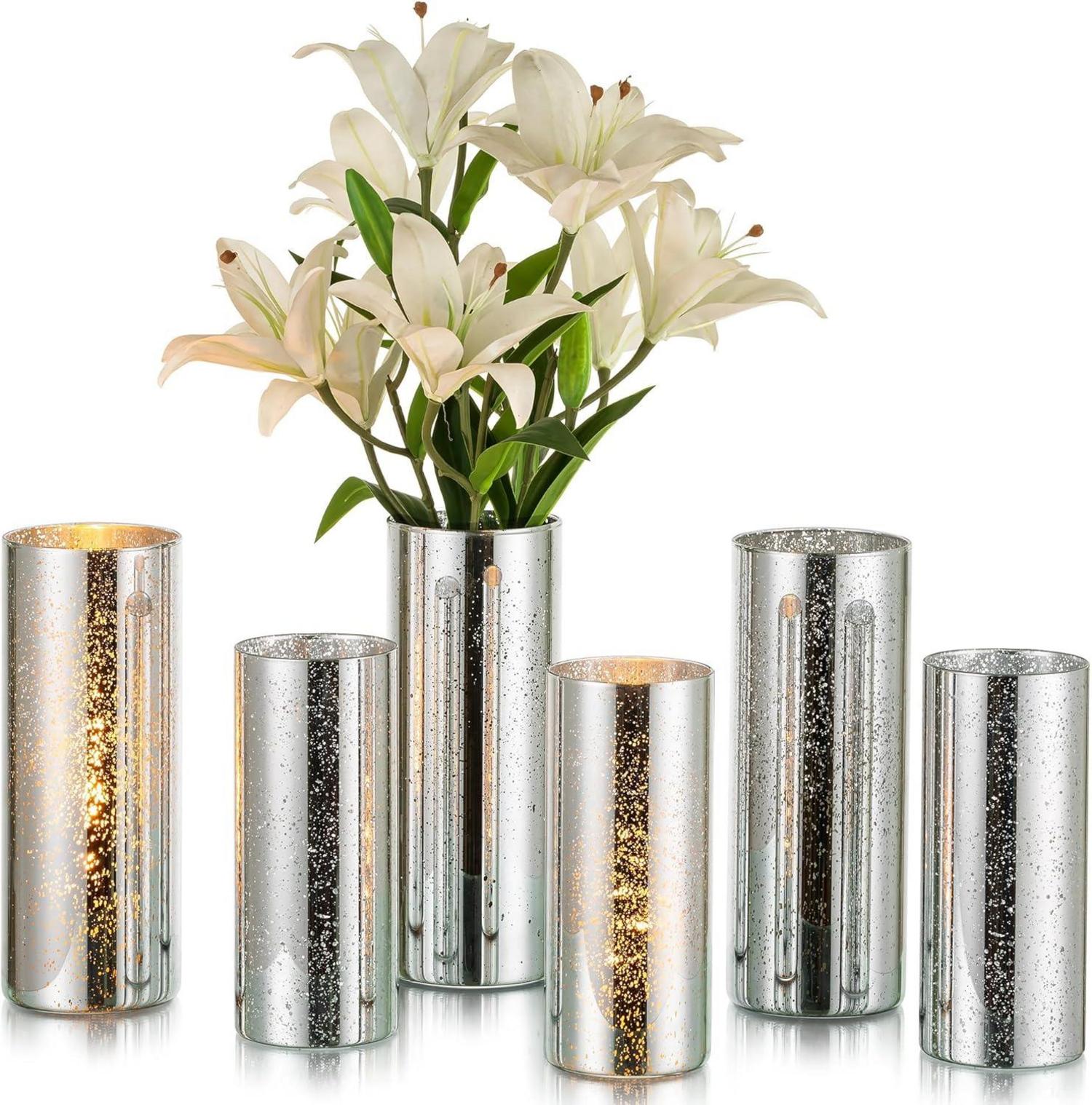 Glasseam Glasvasen Set, Silber Zylindervase Deko 2 Stück