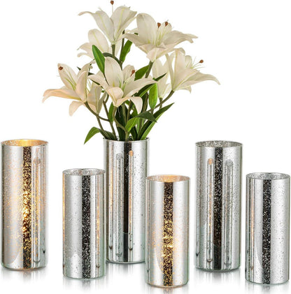 Glasseam Glasvasen Set, Silber Zylindervase Deko 2 Stück