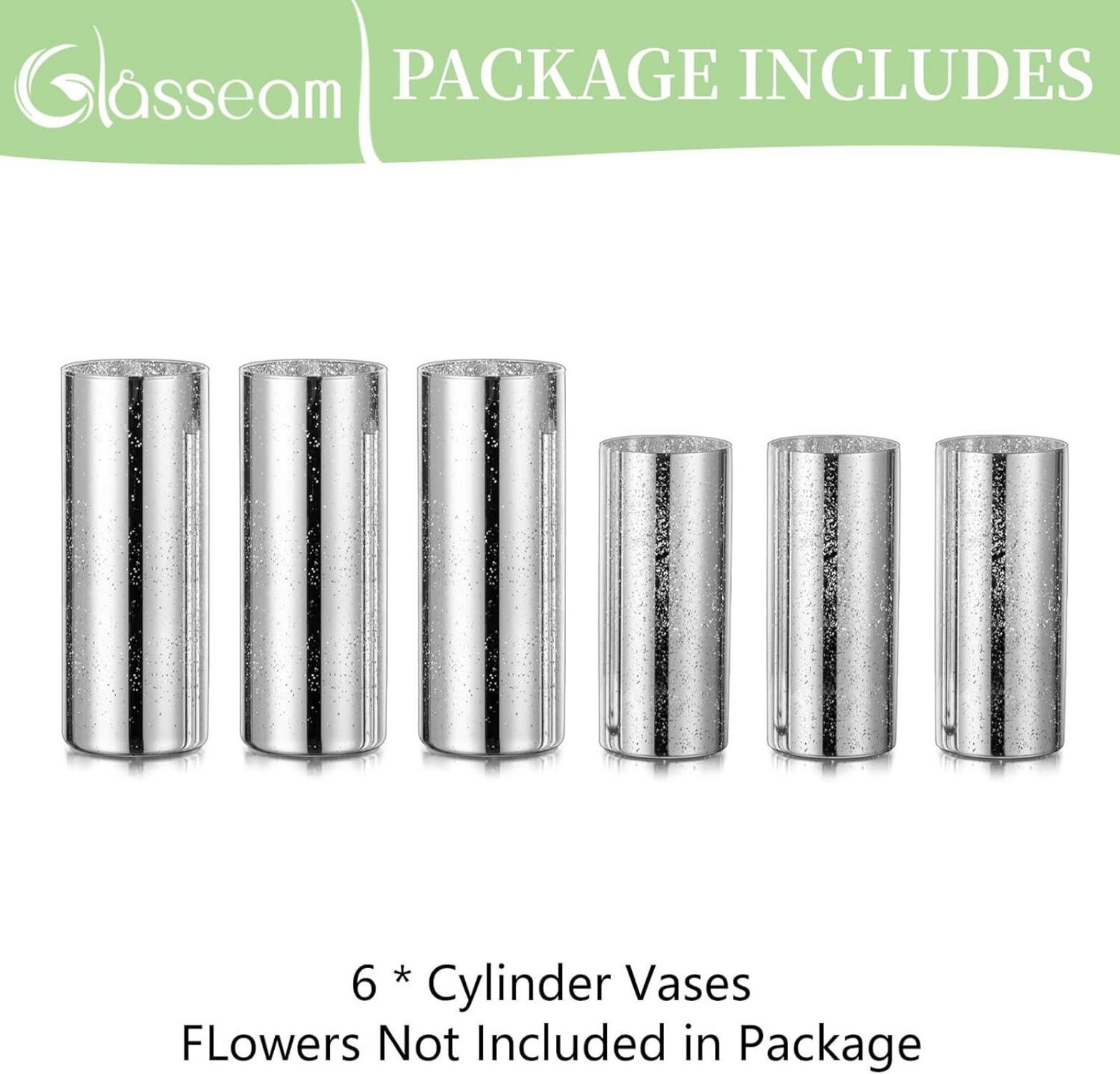 2er Set Glasvasen Mercury Zylinder Vase Silber Modern Deko Blumenvasen