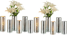 Moderne Silber Zylindervasen Set, 2er Pack Glass Vasen 12cm & 25cm
