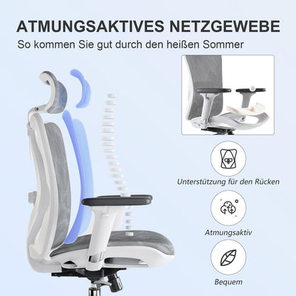 SIHOO M57 Ergonomischer Bürostuhl mit Verstellbarer Kopfstütze und Lendenwirbelstütze
