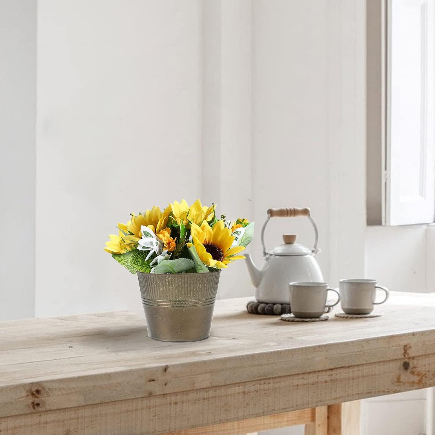 6er Set Verzinkte Blumentöpfe Vintage-Stil für Pflanzen drinnen und