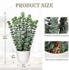 Kunstpflanze Eukalyptus 40 cm Deko-Pflanze Künstlich im