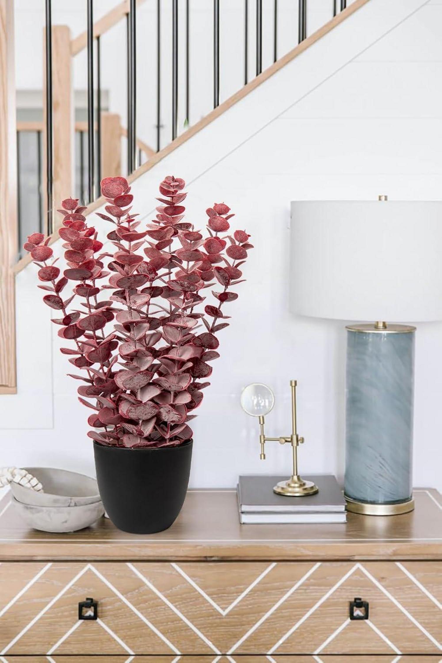 Kunstpflanze Eukalyptus Rot im Schwarzen Topf 40 cm deco Pflanze