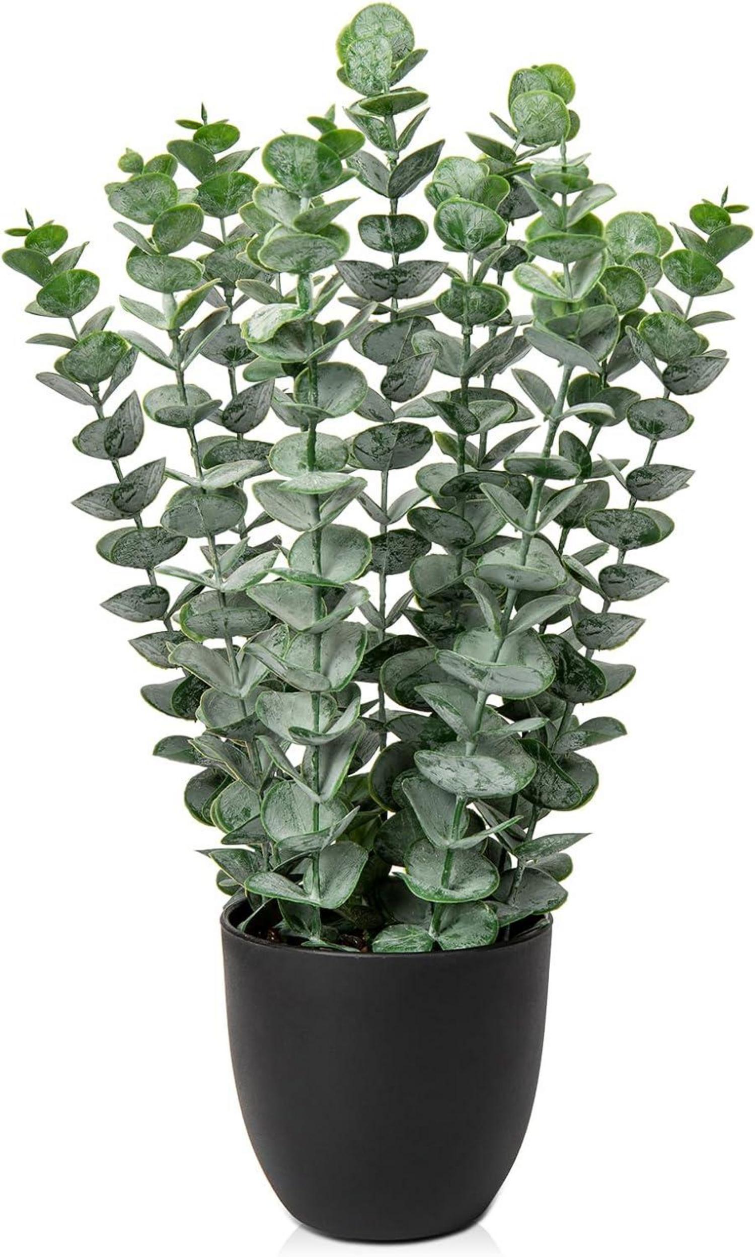 Kunstpflanze Eukalyptus Dekopflanze 40 cm Grün in SchwarzTopf