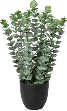 Kunstpflanze Eukalyptus Dekopflanze 40 cm Grün in SchwarzTopf