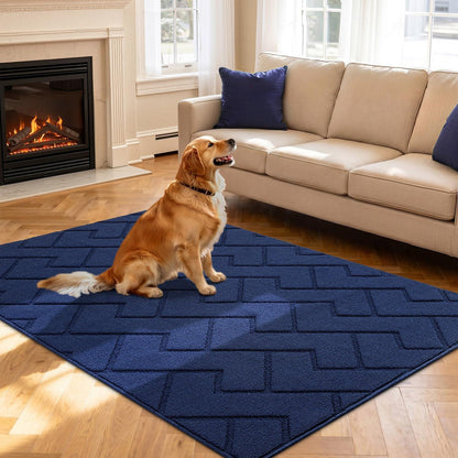 Fußmatte Innen Außen Waschbar Blau 119x180cm – Rutschfest & Saugfähig