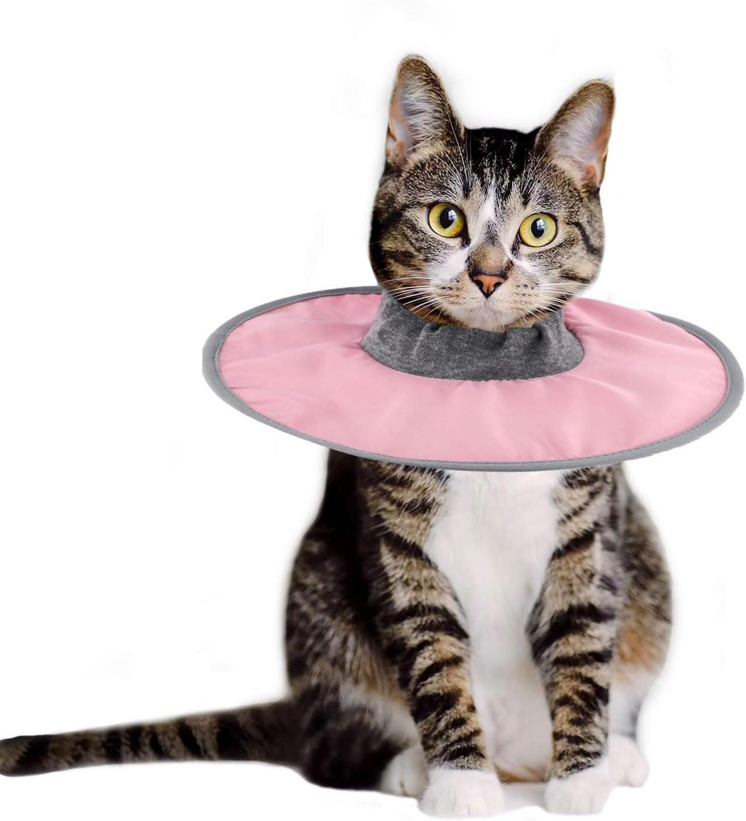 Katzen Genesungshalsband Verstellbar Wasserdicht Recovery Halsband