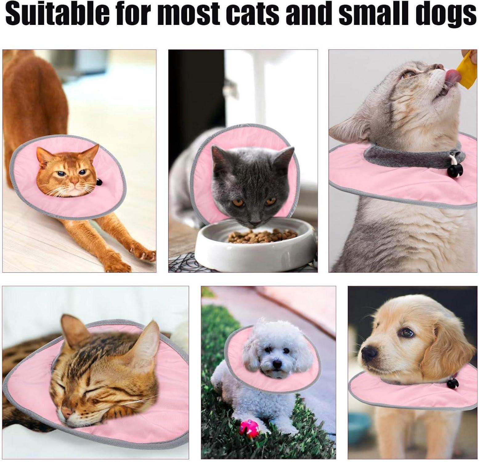 Katzen Genesungshalsband Verstellbar Wasserdicht Rosa Welpen Halsband