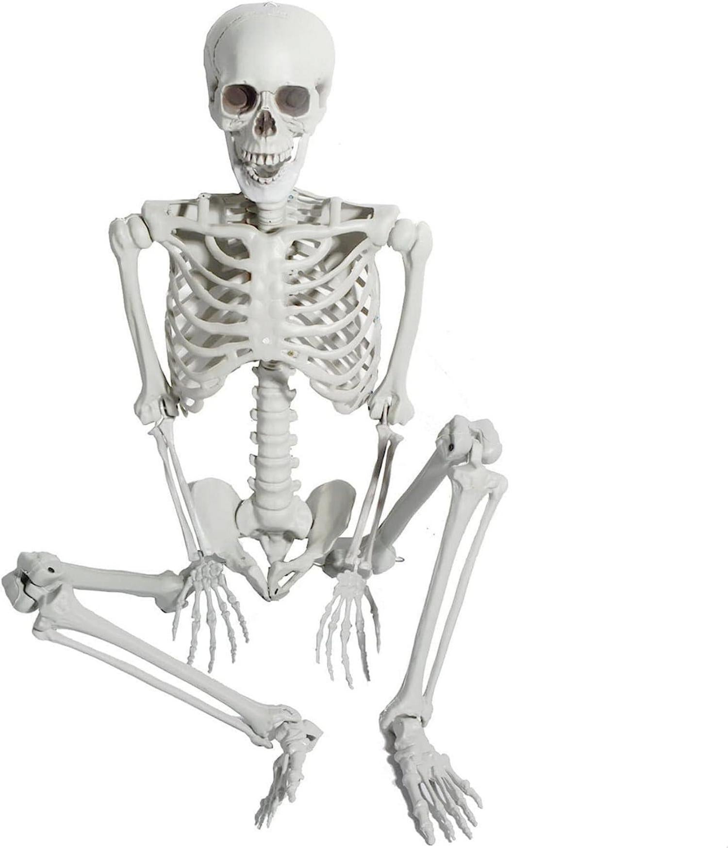 Halloween Skelett 165cm lebensgroß bewegliche Gelenke deco