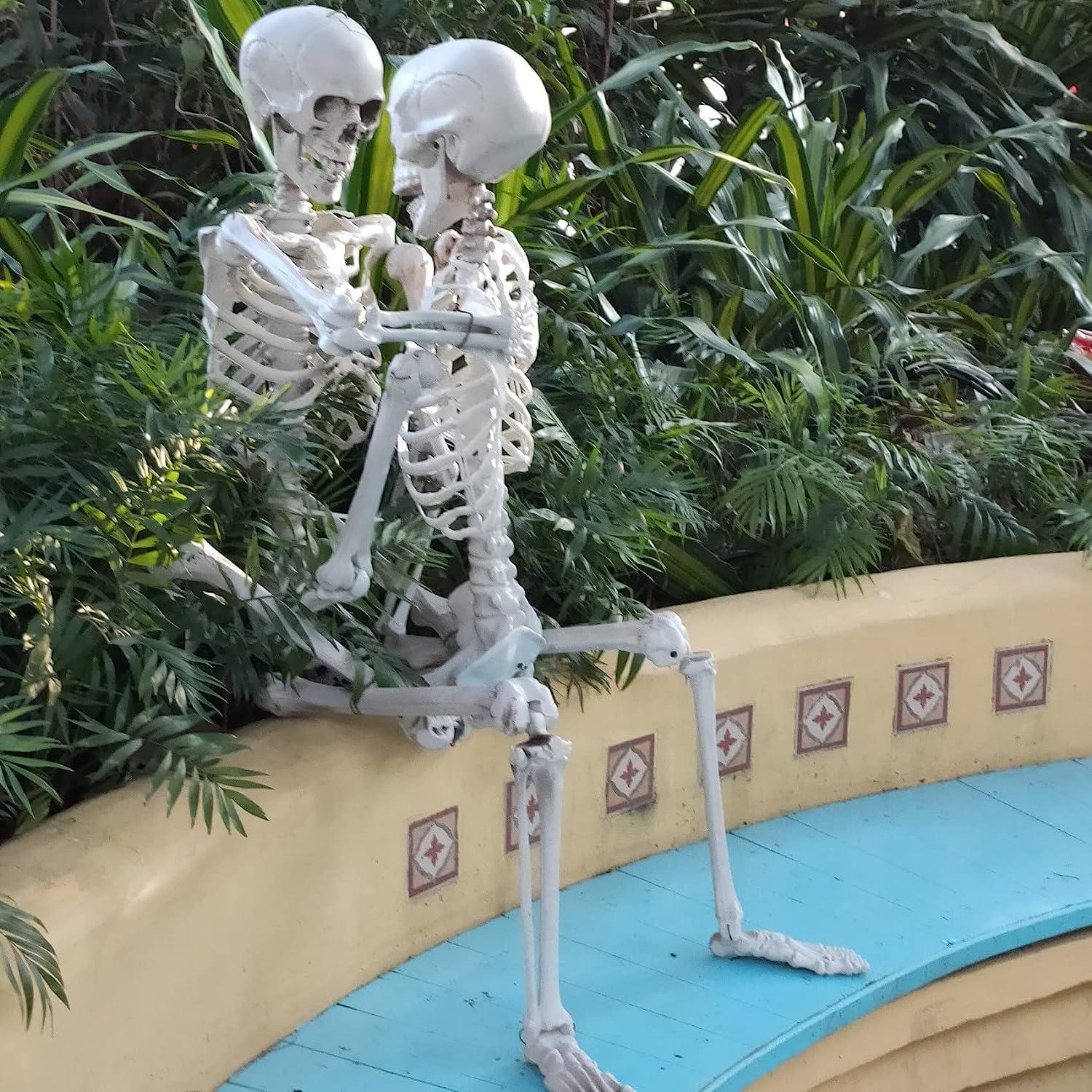 Halloween Skelett 165cm Lebensgroß Ganzkörper Knochen Gelenke Party
