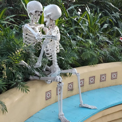 Halloween Skelett 165cm Lebensgroß Ganzkörper Knochen Gelenke Party