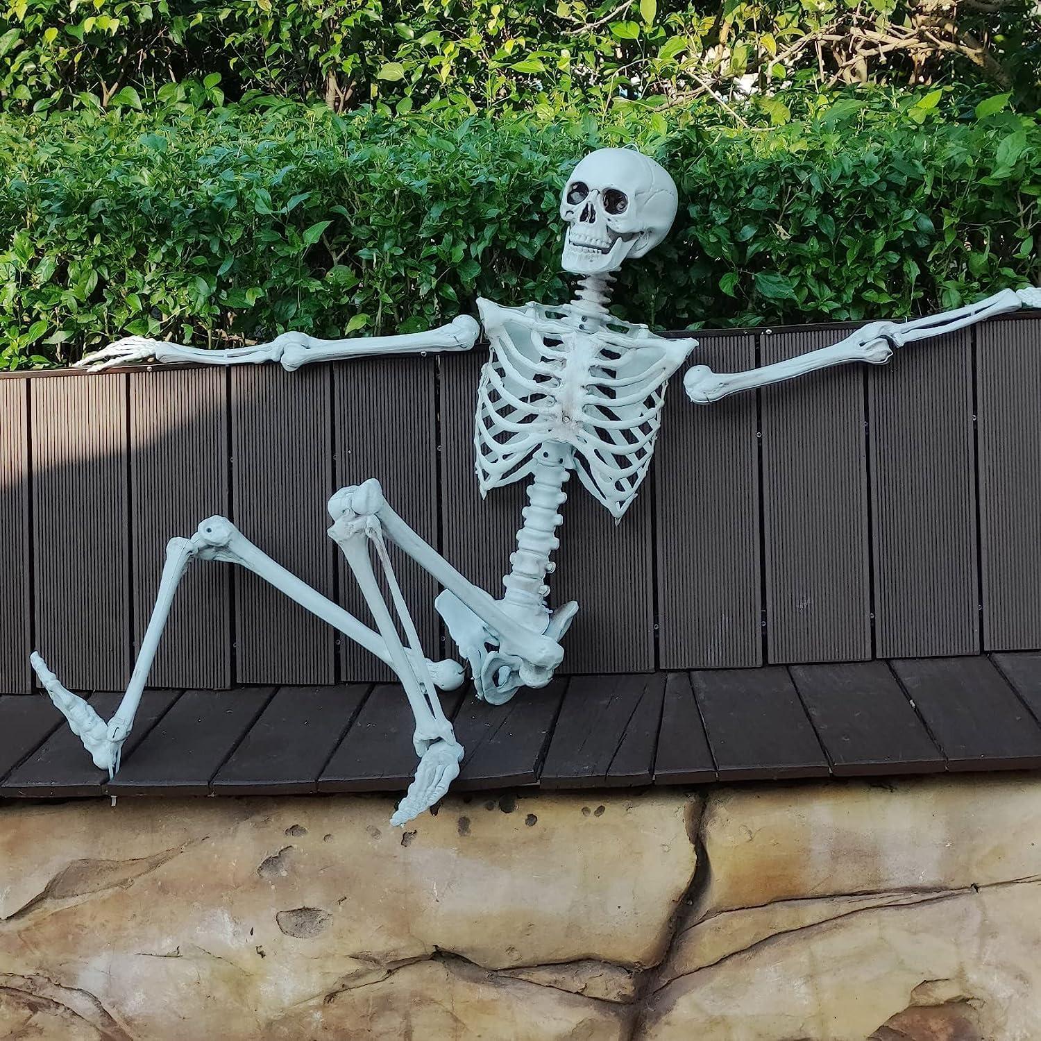 Halloween Lebensgröße Skelett 165cm Ganzkörper bewegliche Gelenke Gruselfriedhof