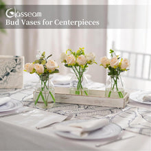 Kleine Glasvasen Set Modern Tulpenvase Blumenvase Deko
