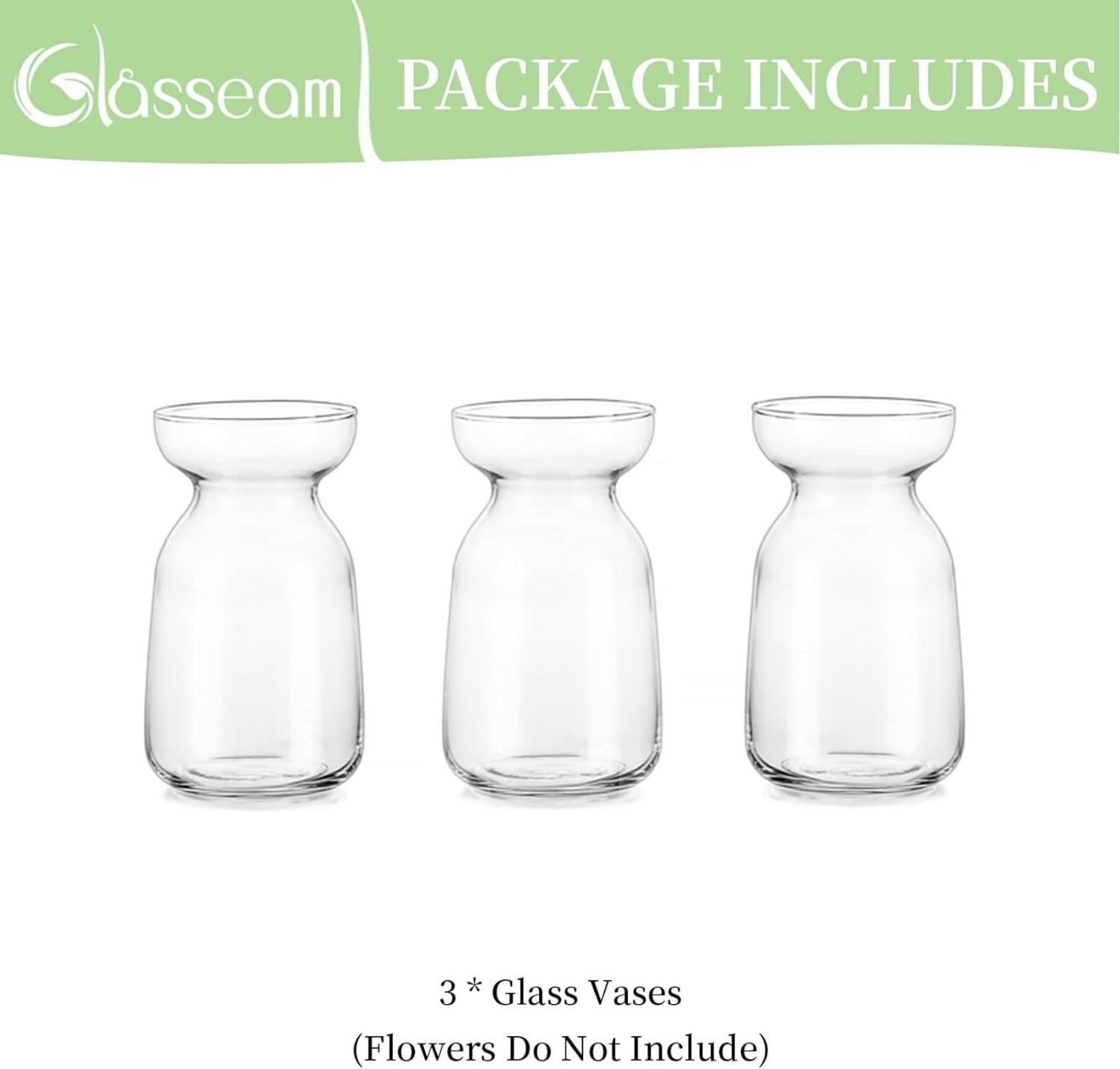 Kleine Vasen Set Glas Blumen Deko Hyazinthe Tulpenvase Wohnzimmer