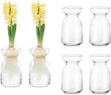 Moderne Glasseam Glasvasen Set für Tischdeko und Hochzeit