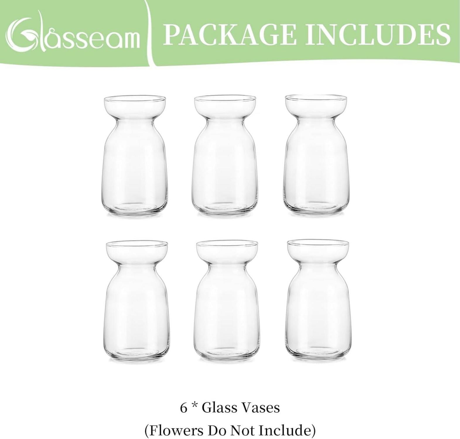 Transparente Glasvasen Set 6-teilig - Modernes Deko Vasen Klein für