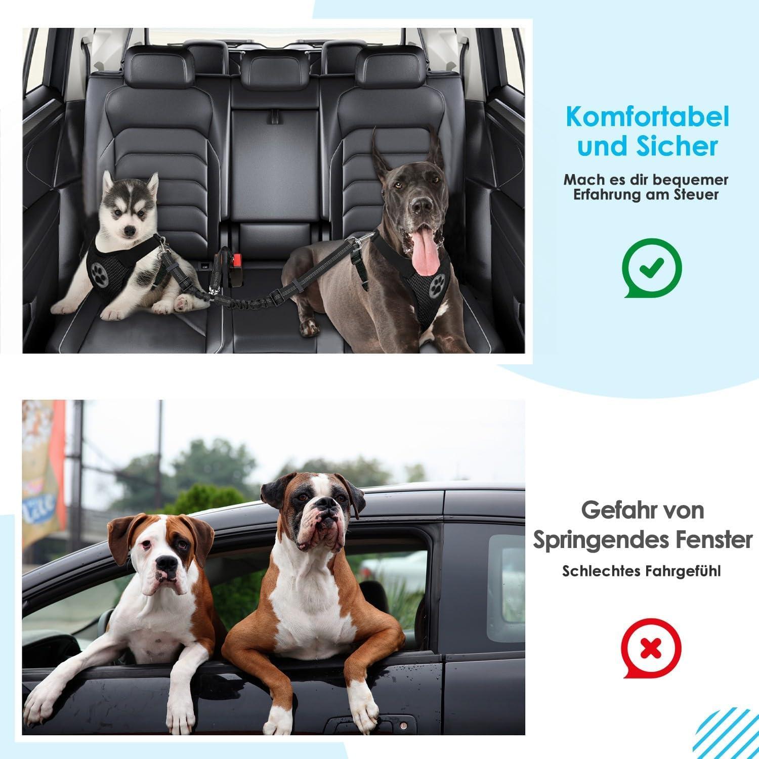 Anschnallgurt Hund Auto 2in1 verhedderungsfrei elastischer