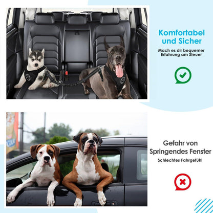 Anschnallgurt Hund Auto 2in1 verhedderungsfrei elastischer