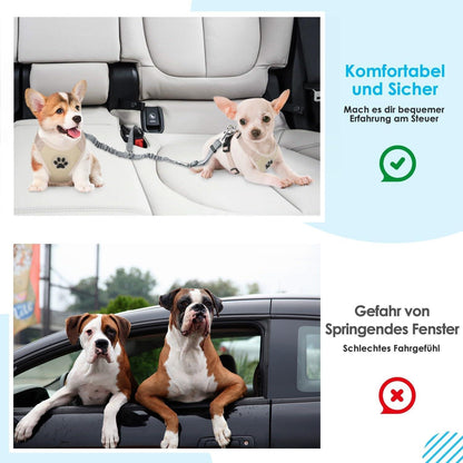 Anschnallgurt Hund Auto verhedderungsfrei elastisch reflektierend Grau
