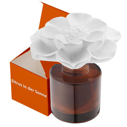 Ätherisches Öl Diffusor Set - Zitrus Sonne | 60 Tage Duft