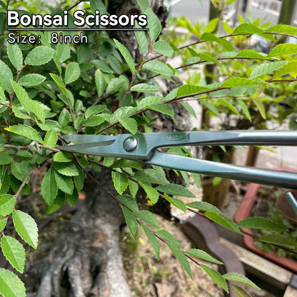 Bonsai scheren set 6 tlg Bonsai Werkzeug Set Knaufschneider