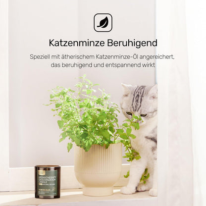 Furry Purr Duftkerze Maiglöckchen Aromatherapie für Hunde Katze - Handgemacht, Sojawachs - Valentinstag Geschenk