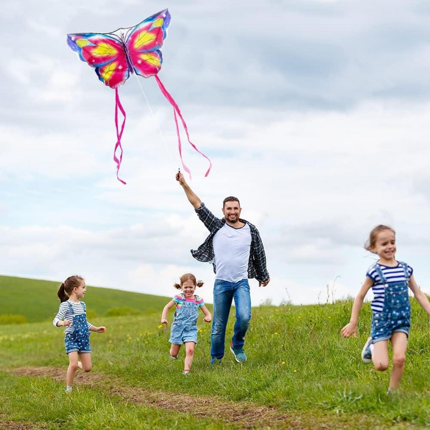 Schmetterling Drachen für Kinder und Erwachsene mit Zubehör, lebendige Farben