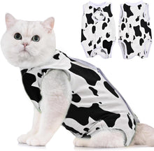 Katzenbody OP Erholungsanzug Modal Recovery Suit Bauchwunden Spay