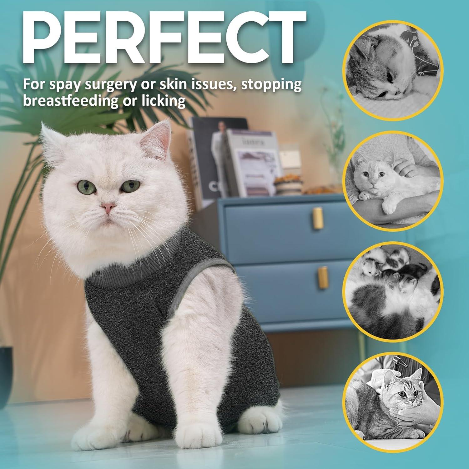 Cat Recovery Suit Modal Material Adjustable Elastic Cord Suit-Suitable for Cat Postoperative, Kastration, Wound Prevention-Dark Grey S