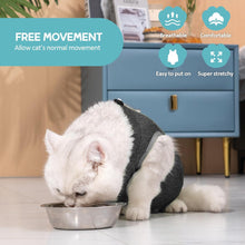 Katzenbody OP Erholungsanzug Recovery Kastration Spay