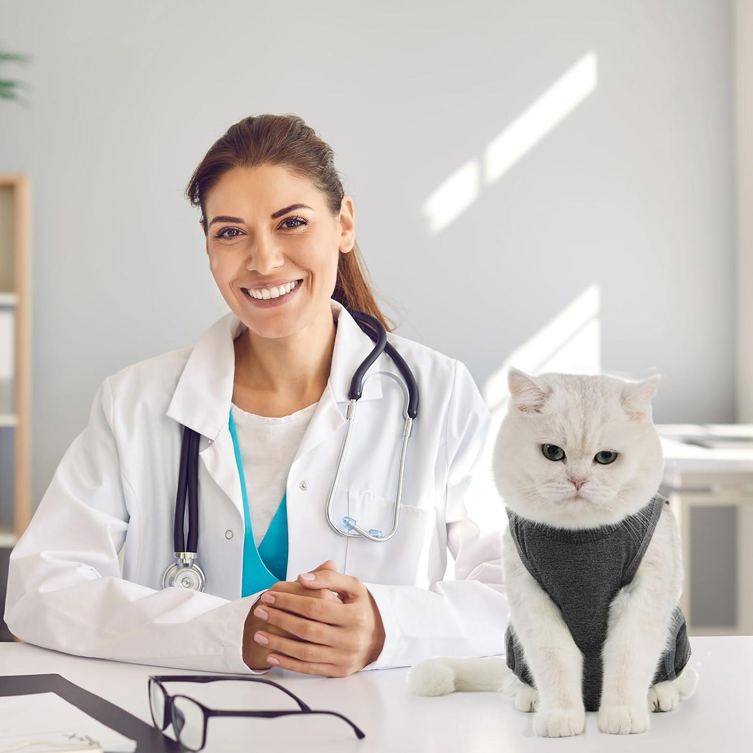 Katzenbody Erholungsanzug OP Kastration Leckschutz Modal L-Dunkelgrau