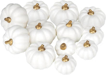 12x Weiße Kürbisse Set für Herbst Halloween Thanksgiving