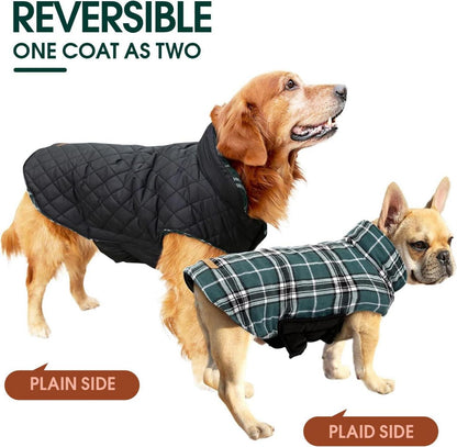 Hundemantel Winter Karo Fleece XS Grün wasser- und winddicht Outdoor