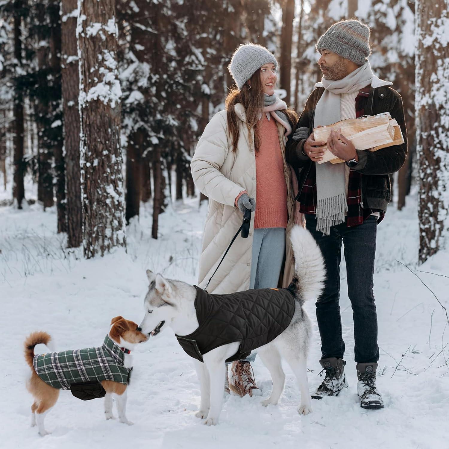 Hundemantel Winter Kleine Hunde Fleece Wasserdicht Warm XS Grün