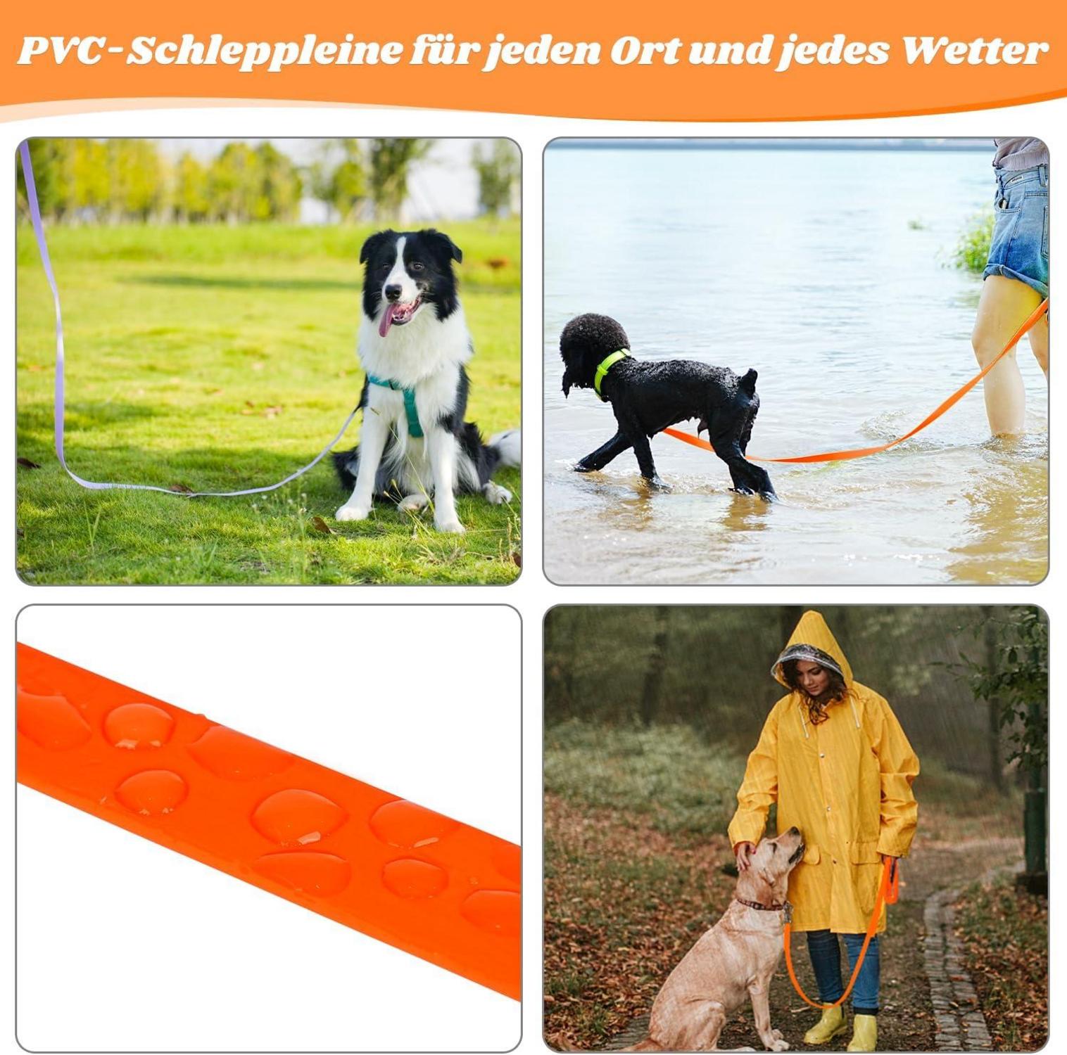 Wasserdichte Schleppleine für Hunde 10M Neon Orange