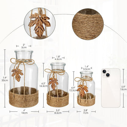 Klare Glasvase mit Ahornblatt-Deko, 3er-Set, Höhe