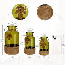 Moderne Glasvase Set 3 Größen grün Dekovase Boho Stil