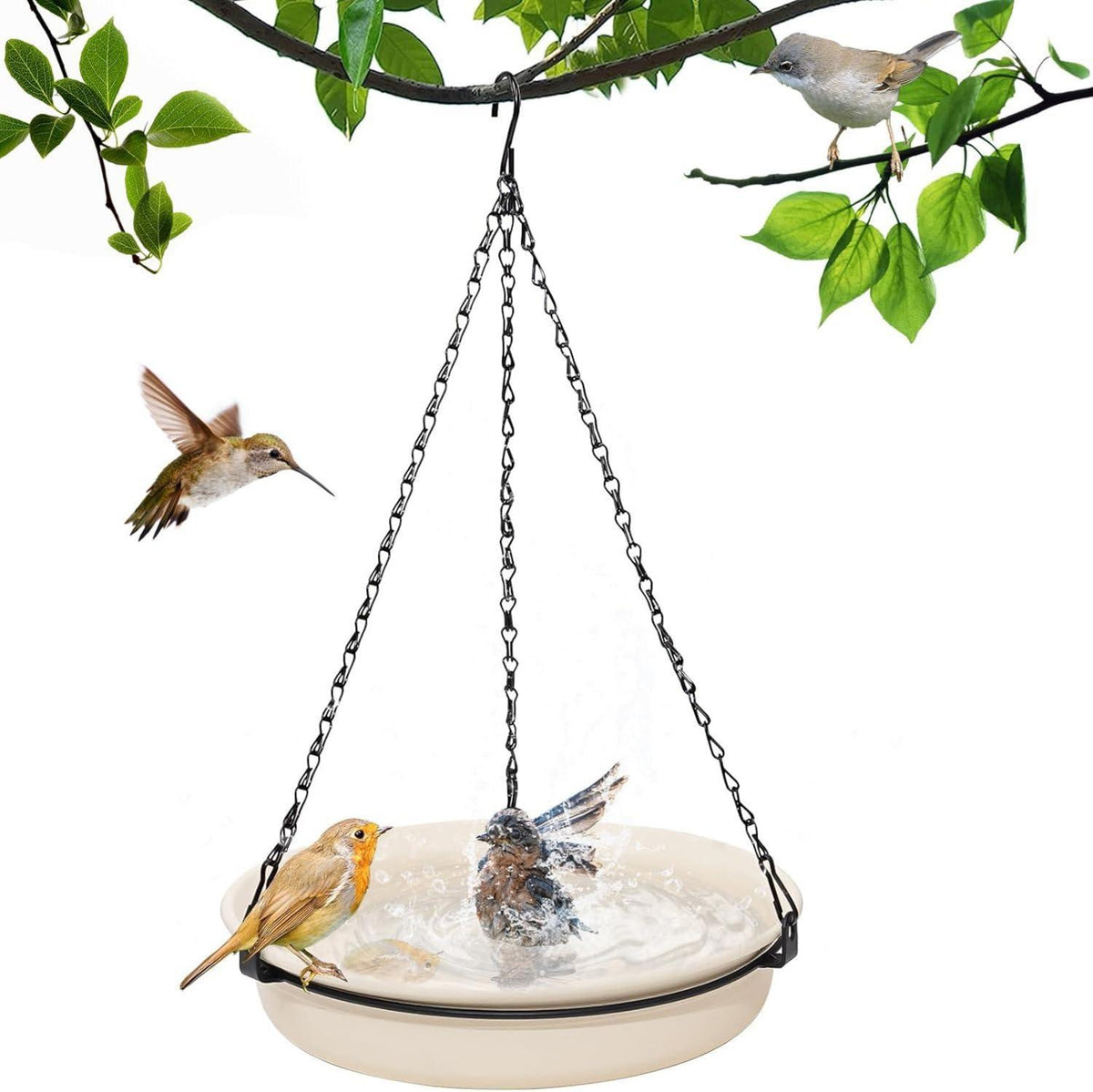Vogelfutterspender Vogeltränke Aufhängen für Vögel