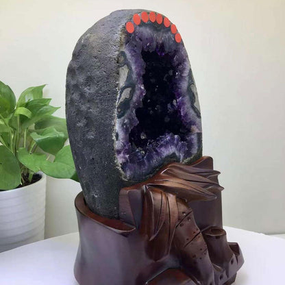 Amethyst-Geode Cluster Exemplar 17lbs - Natürlicher Amethyst-Heilstein