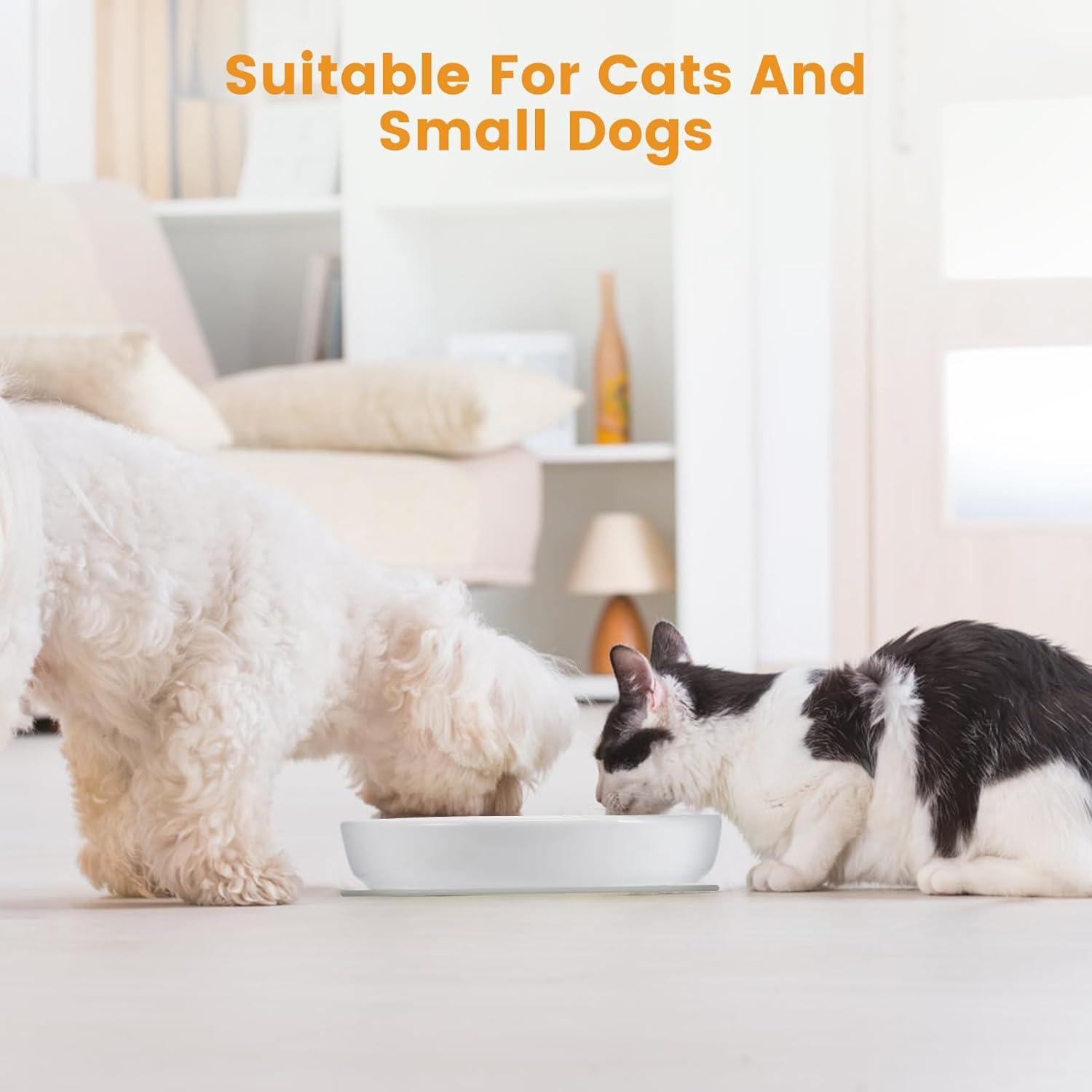 Keramik Anti Schling Napf Katze, Slow Feeder, Anti Rutsch Matte, Hohe