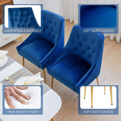 Samt Esszimmerstühle 2er Set – Modern & Bequem (Blau)