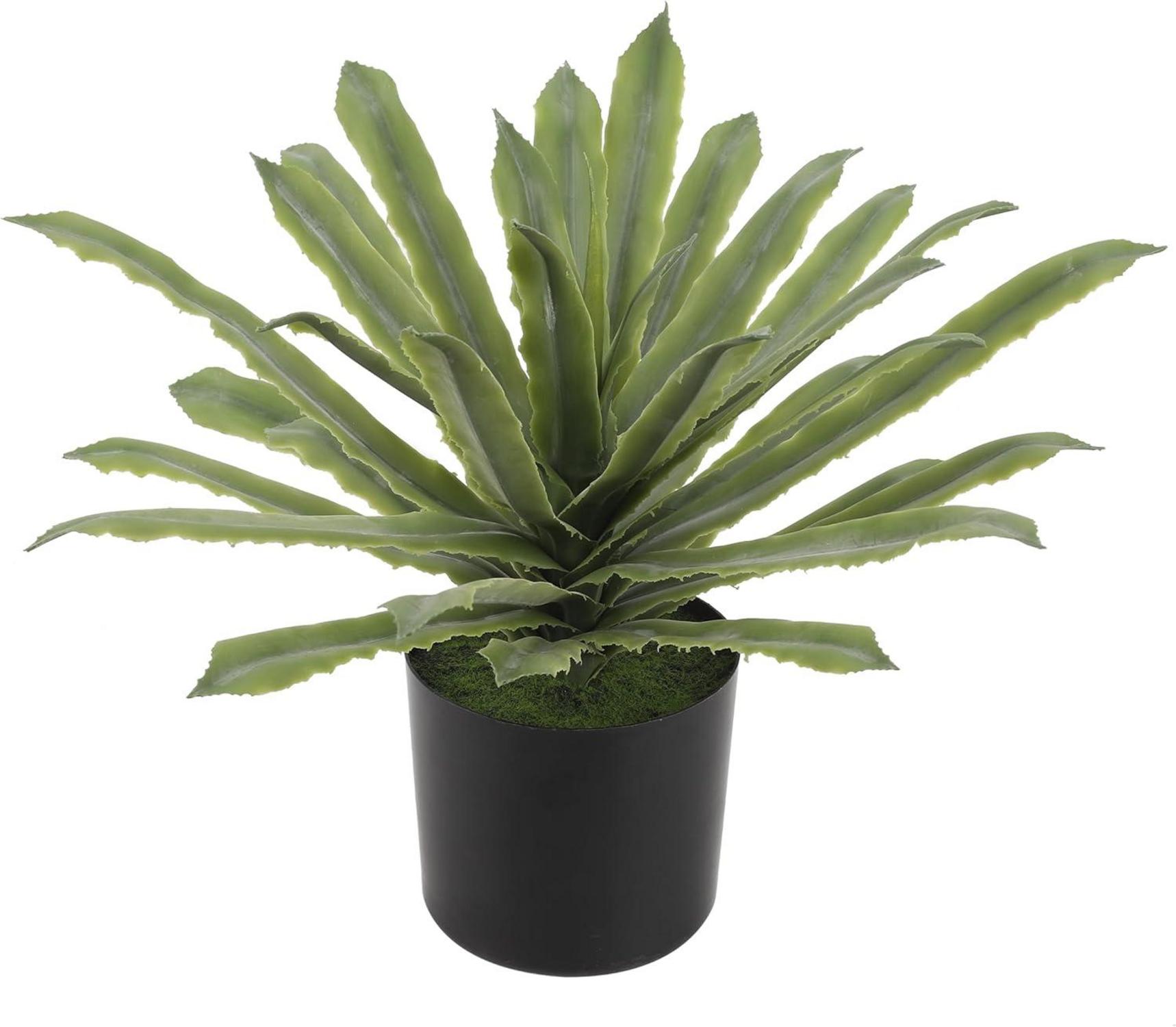 Kunstpflanze Agave im Topf Aloe Vera 33cm Grün