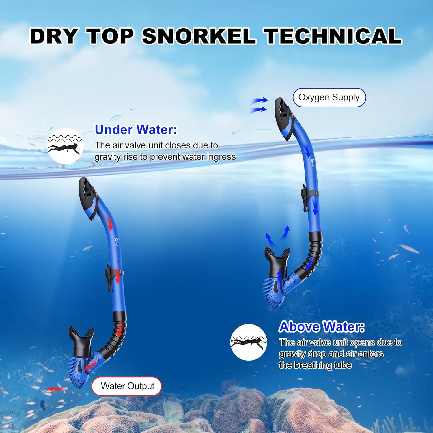 Dorlle Schnorchelset Erwachsene Trockenschnorchel Taucherbrille Blau
