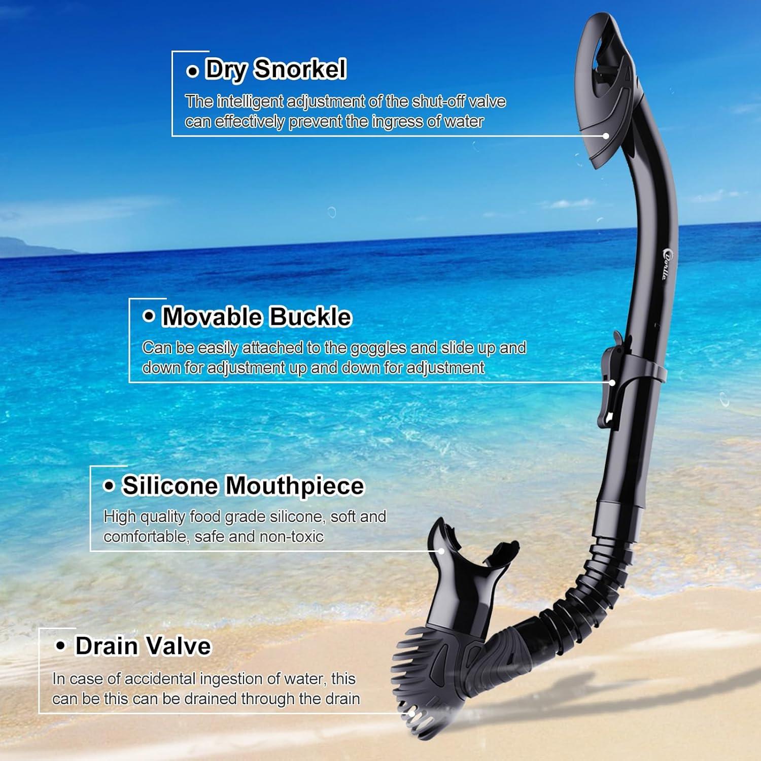Schnorchelset Erwachsene Premium Dry Schnorchel Taucherbrille 180° Panorama Anti-Fog Anti-Leck Schwarz