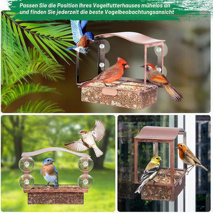 Fenster-Vogelfutterspender aus Metall mit Saugnäpfen