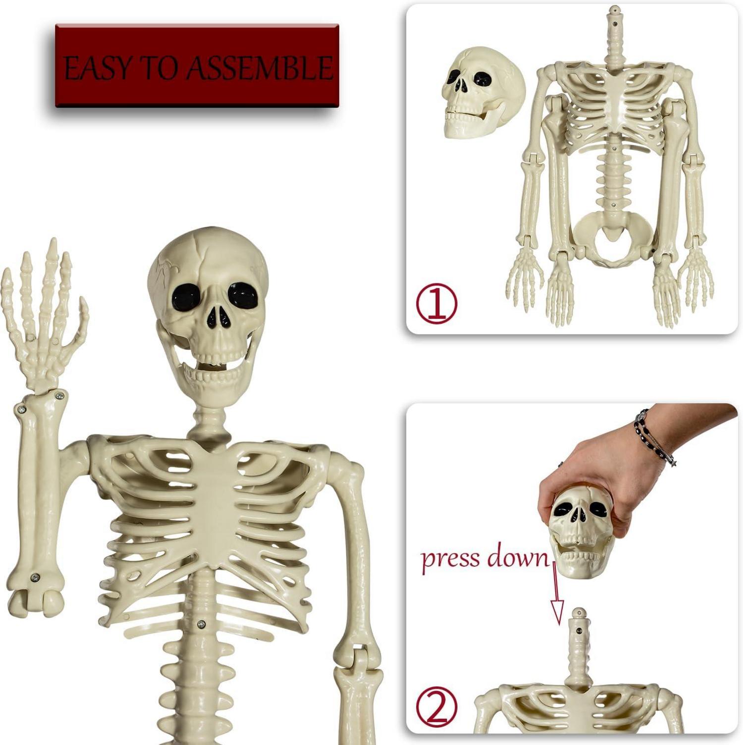 Halloween Skelett 90cm Ganzkörper mit beweglichen Gelenken