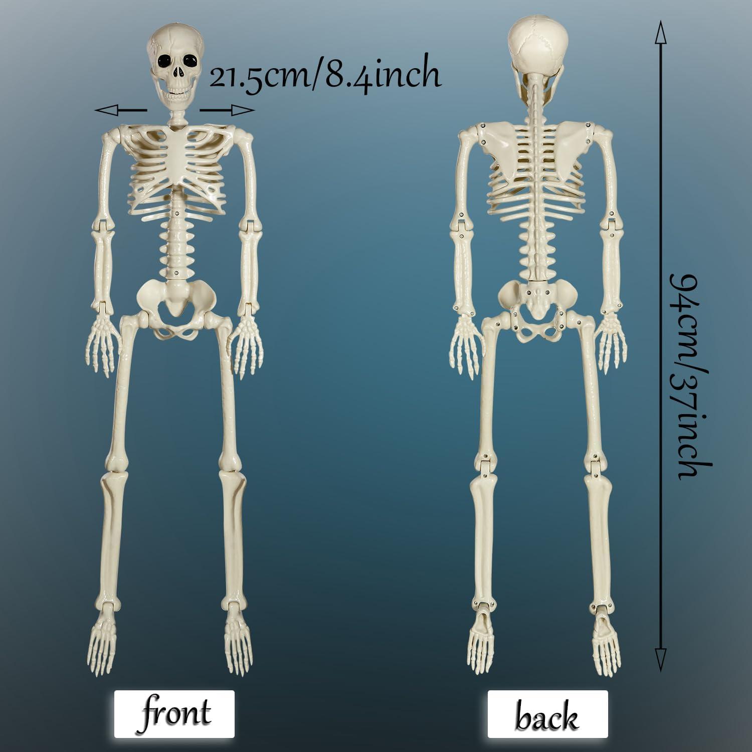 Halloween Skelett Bewegliche Gelenke 90cm Deko Innen Garten